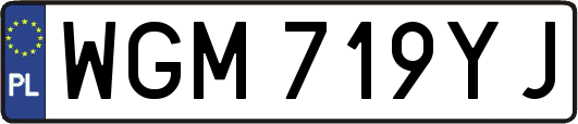 WGM719YJ