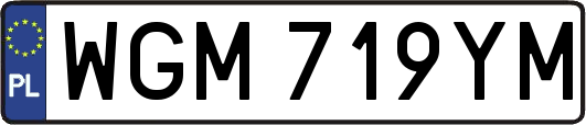 WGM719YM