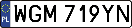 WGM719YN