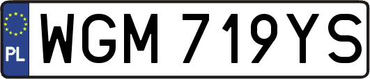 WGM719YS