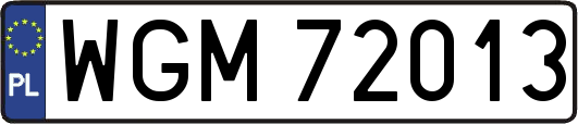 WGM72013