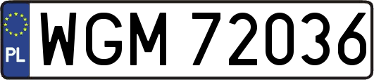 WGM72036