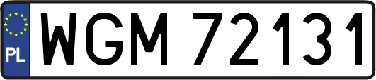 WGM72131