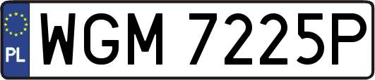 WGM7225P