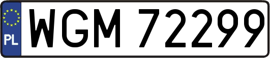 WGM72299