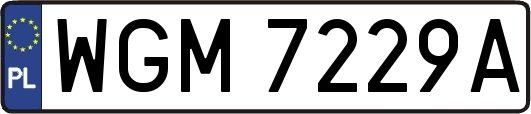 WGM7229A