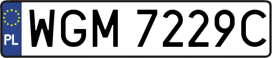 WGM7229C