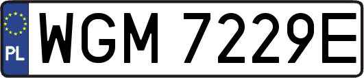 WGM7229E