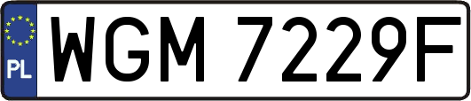 WGM7229F