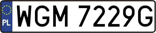 WGM7229G