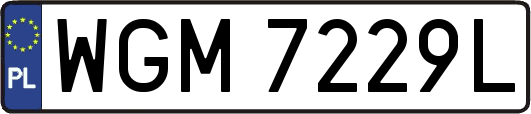 WGM7229L