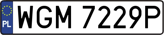 WGM7229P