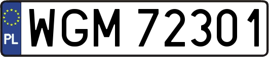 WGM72301