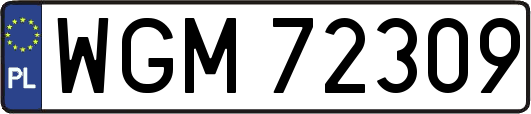WGM72309
