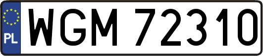 WGM72310
