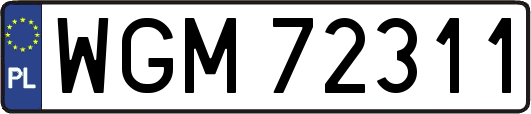 WGM72311
