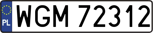 WGM72312
