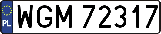 WGM72317