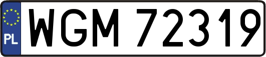 WGM72319