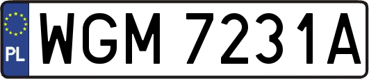 WGM7231A
