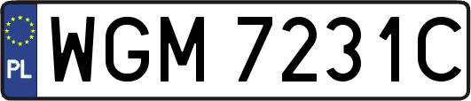 WGM7231C