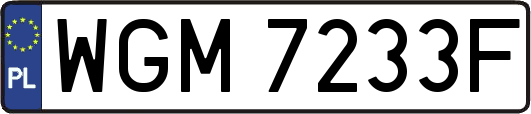 WGM7233F