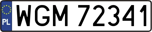 WGM72341