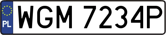WGM7234P