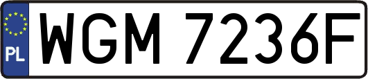 WGM7236F