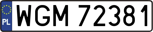 WGM72381