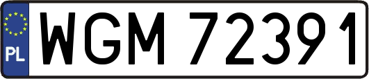 WGM72391