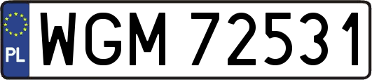 WGM72531