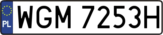 WGM7253H