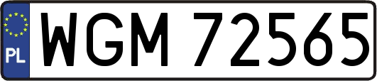 WGM72565