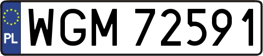 WGM72591