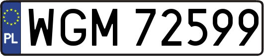 WGM72599