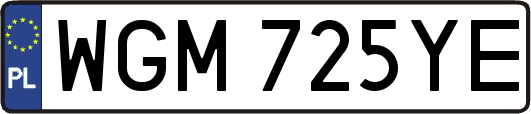 WGM725YE