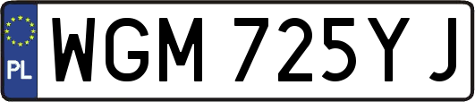 WGM725YJ