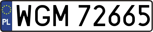 WGM72665