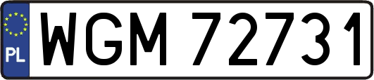 WGM72731