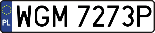 WGM7273P