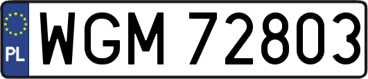 WGM72803