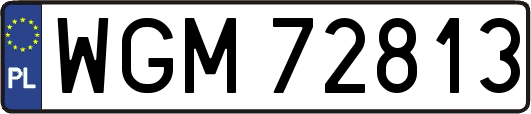WGM72813