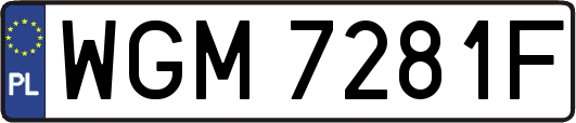 WGM7281F