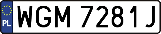 WGM7281J