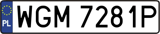 WGM7281P