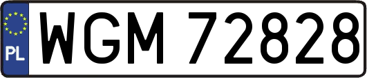 WGM72828