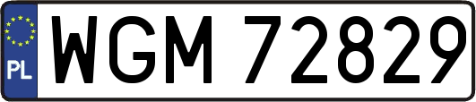 WGM72829