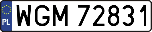WGM72831