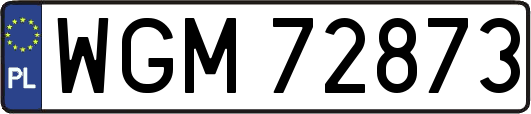 WGM72873